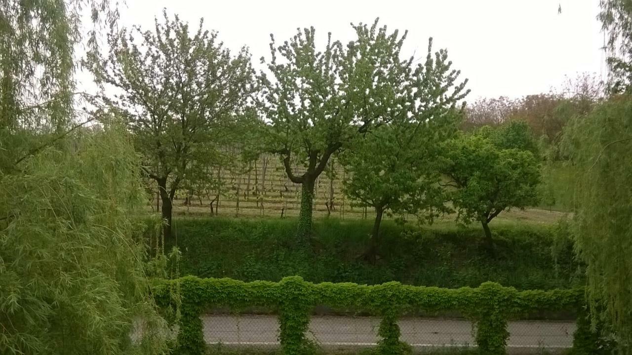 Agriturismo Cascina Barin Roddi Екстериор снимка